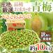 ~ синий слива ~ есть перевод примерно 10kg производство земля тщательно отобранный товар вид случайный размер случайный [ предварительный заказ 5 конец месяца после ] бесплатная доставка 