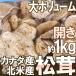  Canada * Северная Америка производство ~ сосна .~ примерно 1kg открытие размер случайный [ предварительный заказ 9 месяц средний последняя декада после ] бесплатная доставка 