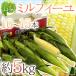  Yamanashi prefecture production ~ mille-feuille ~ 10~15ps.@ approximately 5kg raw . meal .... fruit corn [ reservation 5 end of the month on and after ]