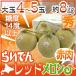 【送料無料】北海道 赤肉メロン ”らいでんレッドメロン” 4～5玉 約8kg 産地箱【予約 7月以降】