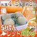  дыня Hokkaido красный мясо дыня ~.... красный дыня ~ super товар 4~5 шар примерно 8kg несессер [ предварительный заказ 9 месяц после ] бесплатная доставка 