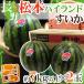  Nagano префектура ~ Matsumoto Highland ...~ превосходящий товар примерно 7kg и больше ×2 шар [ предварительный заказ 7 месяц последняя декада после ] бесплатная доставка 