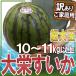 【送料無料】鳥取県 ”ジャンボ大栄すいか” 訳あり 特大5Lサイズ 約10～11kg 大栄西瓜【予約 6月以降】