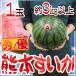  Kumamoto префектура ~ Kumamoto ...~ превосходящий / super товар примерно 3kg и больше 1 шар [ предварительный заказ 4 месяц после ] бесплатная доставка 