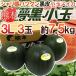  Kumamoto префектура чёрная кожа ...~ сон чёрный маленький шар ~ превосходящий * super товар 3L 3 шар примерно 7.5kg[ предварительный заказ 5 месяц последняя декада после ] бесплатная доставка 