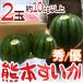  Kumamoto префектура ~ Kumamoto ...~ превосходящий / super товар примерно 5kg и больше ×2 шар ( всего примерно 10kg и больше )[ предварительный заказ 4 месяц после ] бесплатная доставка 