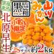  мандарин ~ Fukuoka JA.... после гора река мандарин север .. сырой ~ чёрный коробка и т.п. класс маленький шарик ограничение 2S размер примерно 2kg[ предварительный заказ 10 месяц средний . после ] бесплатная доставка 
