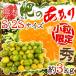  мандарин ~ Kumamoto производство .. ... мандарин ~ превосходящий товар маленький шарик S/2S размер примерно 3kg[ предварительный заказ 9 месяц последняя декада после ] бесплатная доставка 