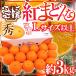  Ehime производство ~.. какой ~ превосходящий товар L размер и больше примерно 3kg несессер [ предварительный заказ 12 месяц после ] бесплатная доставка 