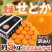  Ehime производство ~. или ~ немного есть перевод примерно 5kg размер случайный производство земля коробка [ предварительный заказ 1 конец месяца после ] бесплатная доставка 