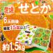  Ehime производство ~. или ~ превосходящий товар 6 шар передний и задний (до и после) примерно 1.5kg несессер самый низкий сахар раз 15 раз и больше [ предварительный заказ 2 конец месяца после ] бесплатная доставка 