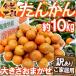  Amami Ooshima * магазин . остров производство ~....~ есть перевод примерно 10kg размер случайный [ предварительный заказ 2 месяц после ] бесплатная доставка 
