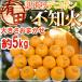 ~ Wakayama Arita производство не . огонь *....( есть перевод декоративный элемент pon)~ примерно 5kg размер случайный [ предварительный заказ 2 месяц последняя декада после ] бесплатная доставка 