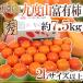  Wakayama префектура 9 раз гора производство ~. иметь хурма ~ превосходящий товар 2L размер и больше примерно 7.5kg[ предварительный заказ 11 месяц после ] бесплатная доставка 