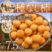  Wakayama производство ~.. нет хурма ~ есть перевод примерно 7.5kg размер случайный [ предварительный заказ 9 конец месяца после ] бесплатная доставка 