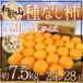  Wakayama производство ~.. нет хурма ~ есть перевод 3L~4L размер 24~28 шар примерно 7.5kg[ предварительный заказ 10 месяц после ] бесплатная доставка 