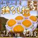 ~ Wakayama производство .. нет хурма ~ превосходящий товар 4L размер 6 шар примерно 1.8kg супер большой шар ограничение несессер [ предварительный заказ 10 месяц после ] бесплатная доставка 
