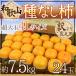  Wakayama производство ~.. нет хурма ~ есть перевод супер большой шар 4L 24 шар примерно 7.5kg[ предварительный заказ 10 месяц после ] бесплатная доставка 