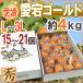 ~ Ehime префектура love . Gold ~ превосходящий товар L~3L 15~21 шар примерно 4kg love . хурма [ предварительный заказ 12 месяц средний последняя декада после ] бесплатная доставка 