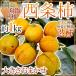  Shimane * Tottori * Okayama производство высушенный хурма * грузоподъемность .. хурма для ~ запад статья хурма . хурма ~ примерно 1kg размер случайный [ предварительный заказ 10 месяц последняя декада после ]