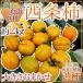  Shimane * Tottori * Okayama производство высушенный хурма * грузоподъемность .. хурма для ~ запад статья хурма . хурма ~ примерно 2kg размер случайный [ предварительный заказ 10 месяц последняя декада после ] бесплатная доставка 