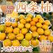  Shimane * Tottori * Okayama производство высушенный хурма * грузоподъемность .. хурма для ~ запад статья хурма . хурма ~ примерно 5kg размер случайный [ предварительный заказ 10 месяц последняя декада после ] бесплатная доставка 