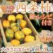  Shimane * Tottori * Okayama производство высушенный хурма * грузоподъемность .. хурма для ~ запад статья хурма . хурма ~ примерно 1.5kg размер случайный [ предварительный заказ 10 месяц последняя декада после ]