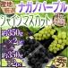 ~ автомобиль in мускат &nagano лиловый ~ превосходящий товар примерно 350g×2pc+ примерно 350g×2pc всего 4pc примерно 1.4kg производство земля тщательно отобранный еда . сравнение виноград [ предварительный заказ 9 месяц после ] бесплатная доставка 