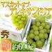  виноград Okayama производство ~ мускат *ob*areki Sand задний ~ примерно 600g 1. несессер [ предварительный заказ 7 месяц после ] бесплатная доставка 