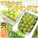  виноград Okayama производство ~ мускат *ob*areki Sand задний ~ большой . примерно 750g 1. несессер виноград [ предварительный заказ 7 месяц после ] бесплатная доставка 