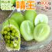  Okayama производство ~ автомобиль in мускат [..]~ супер большой .1. примерно 900g~1kg виноград [ предварительный заказ 7 месяц последняя декада после ]