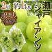  виноград Okayama производство ~ Seto ja Ian tsu~ есть перевод 2. примерно 1kg[ предварительный заказ 9 месяц после ] бесплатная доставка [M1]