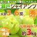  виноград Okayama производство ~ Seto ja Ian tsu~ превосходящий товар большой . ограничение 3~6. примерно 3kg несессер [ предварительный заказ 9 месяц после ] бесплатная доставка [K2]