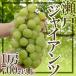  виноград Okayama производство ~ Seto ja Ian tsu~ превосходящий товар большой . примерно 700g и больше несессер [ предварительный заказ 9 месяц после ]