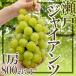  виноград Okayama производство ~ Seto ja Ian tsu~ превосходящий товар большой . примерно 800g и больше несессер [ предварительный заказ 9 месяц после ] бесплатная доставка 