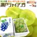  виноград Okayama производство ~ Seto ja Ian tsu~ супер большой .1. примерно 900g~1kg несессер [ предварительный заказ 8 месяц после ] бесплатная доставка 