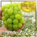  виноград Okayama производство ~ Seto ja Ian tsu~ большой . примерно 600g~750g виноград [ предварительный заказ 8 месяц после ]