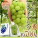  виноград Okayama производство ~ Seto ja Ian tsu~ большой .1. примерно 700g и больше несессер виноград [ предварительный заказ 8 месяц после ]