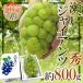  виноград Okayama производство ~ Seto ja Ian tsu~ большой .1. примерно 800g и больше несессер виноград [ предварительный заказ 8 месяц после ] бесплатная доставка 