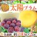  Yamanashi соль гора производство ~ солнце слива {1 коробка }~ превосходящий товар 6 шар передний и задний (до и после) 700g×2pc( всего 12 шар передний и задний (до и после) примерно 1.4kg) sumomo [ предварительный заказ 8 месяц средний последняя декада после ] бесплатная доставка 