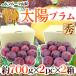  Yamanashi соль гора производство ~ солнце слива {2 коробка }~ превосходящий товар (1 коробка на 12 шар передний и задний (до и после) примерно 1.4kg) sumomo [ предварительный заказ 8 месяц средний последняя декада после ] бесплатная доставка 