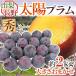  Yamanashi * Nagano производство ~ солнце слива ~ превосходящий товар примерно 2kg размер случайный sumomo [ предварительный заказ 8 месяц после ] бесплатная доставка 