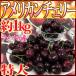 America production ~ american Cherry ~ extra-large approximately 1kg[ reservation 5 month last third on and after ] free shipping 