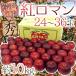  яблоко Iwate .. производство ~. роман яблоко ~ превосходящий товар 24~36 шар примерно 10kg[ предварительный заказ 9 месяц после ] бесплатная доставка 
