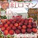 яблоко Iwate .. производство ~. роман яблоко ~ есть перевод примерно 10kg размер случайный [ предварительный заказ 9 месяц после ] бесплатная доставка 