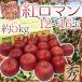  яблоко Iwate .. производство ~. роман яблоко ~ превосходящий товар 12~18 шар примерно 5kg[ предварительный заказ 9 месяц после ] бесплатная доставка 