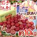  яблоко Iwate .. производство ~ меласса ввод солнечный ..~ немного есть перевод 24~36 шар примерно 10kg[ предварительный заказ 11 конец месяца после ] бесплатная доставка 