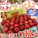  яблоко Iwate .. производство ~ меласса ввод солнечный ..~ превосходящий товар 24~36 шар примерно 10kg[ предварительный заказ 11 конец месяца после ] бесплатная доставка 