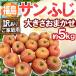  яблоко ~ Fukushima производство меласса ввод солнечный ..~ есть перевод размер случайный примерно 5kg[ предварительный заказ 11 месяц последняя декада после ] бесплатная доставка 