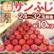  яблоко Fukushima производство ~ меласса ввод солнечный ..~ превосходящий товар большой шар 24~32 шар примерно 10kg[ предварительный заказ 11 месяц последняя декада после ] бесплатная доставка 